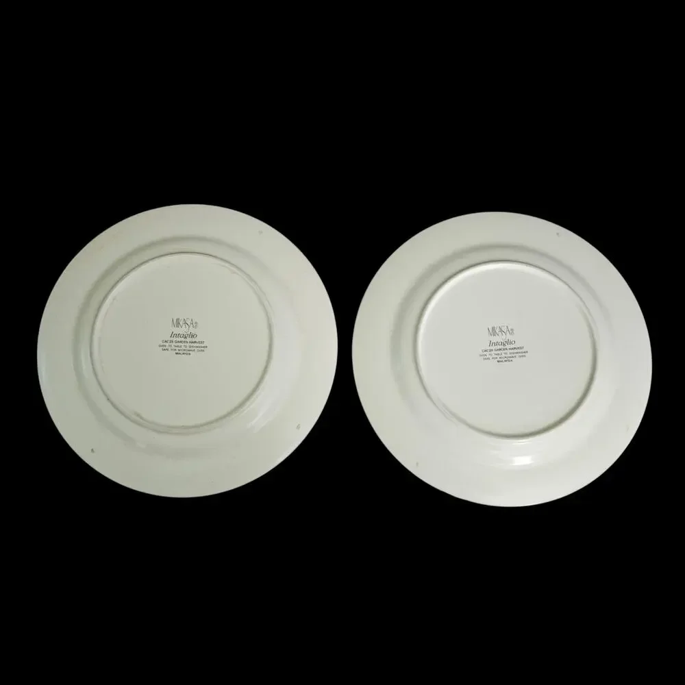 Mikasa Intaglio Garden Harvest CAC29 Dinner Plates Set of 2 Fruit Border